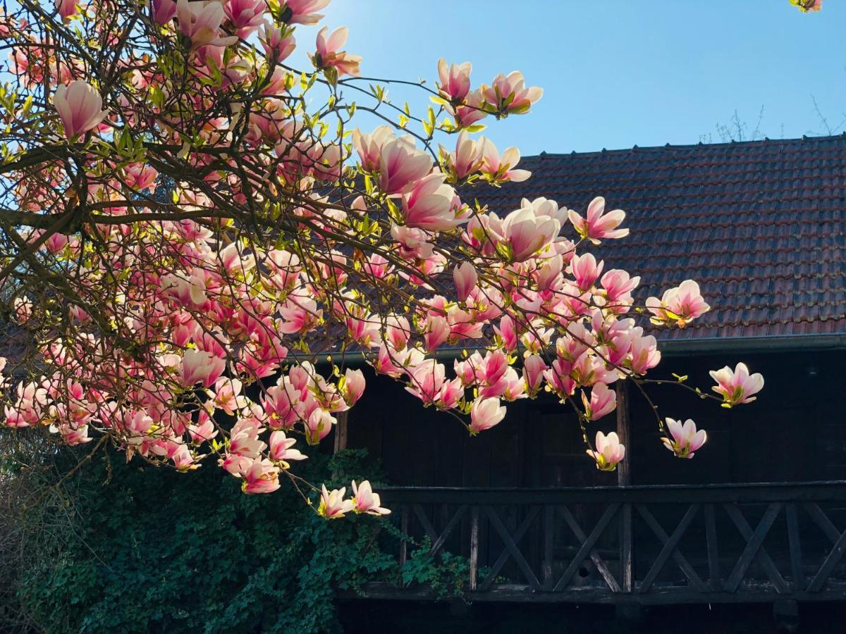 Landhaus Riedl Bad Füssing エクステリア 写真